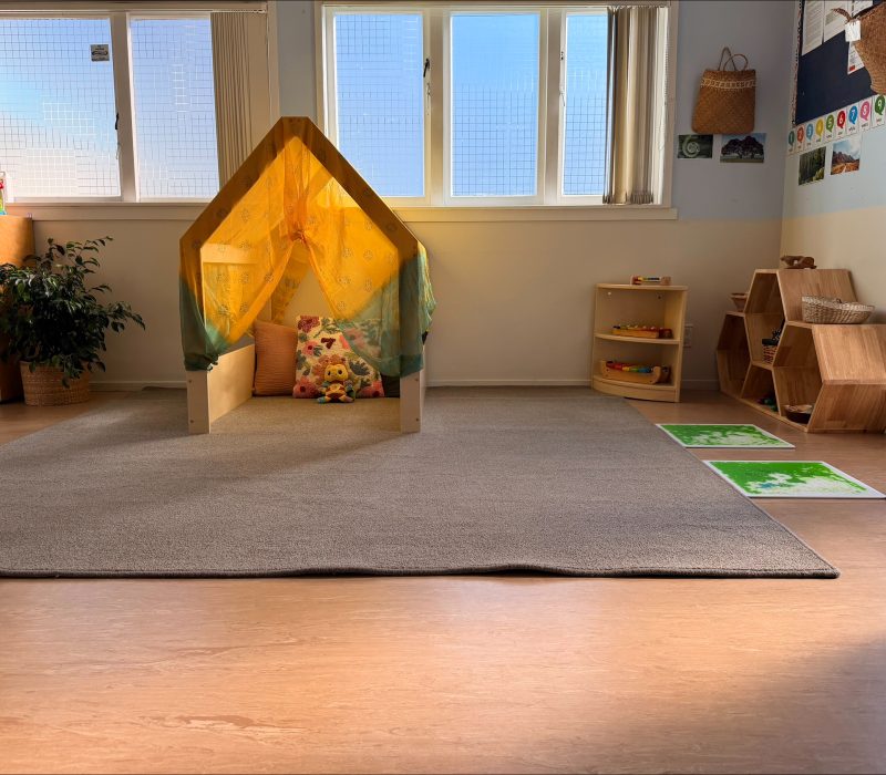 processed-B9AB3AF7-FC94-4D0C-8373-AFDD783DF5D7